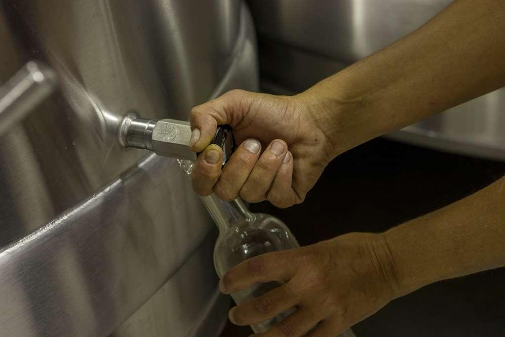 Hotel du Château d'Arche, Grand Cru Classé de Sauternes Facilidades foto